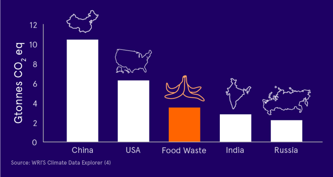 Sustainability Initiatives Blog Elements_Food Waste Graph Blue